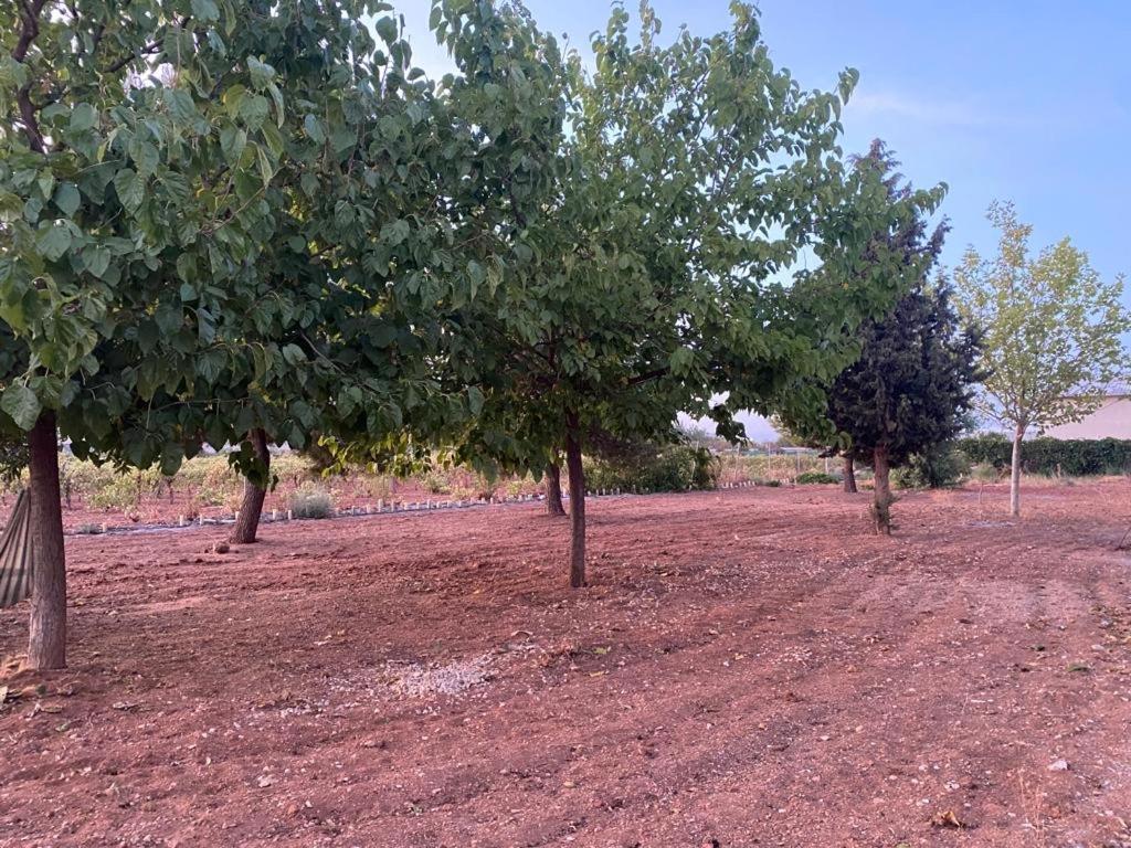 Casa Rural La Hontanilla Βίλα Miguel Esteban Εξωτερικό φωτογραφία